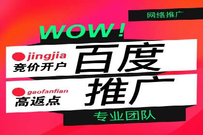 成功案例：百度竞价代运营如何提高转化率